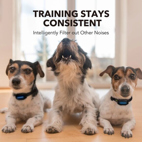 NEW Dog Care NONO AB01 Automatic Smart Bark Collar Controller - Picture 3 of 9